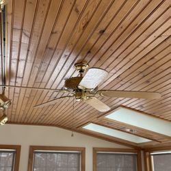 Ceiling Fan 
