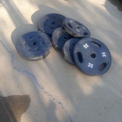 Workout bench with weights and bar..