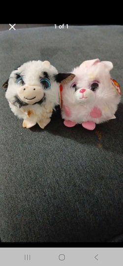 Animals