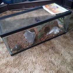Reptile Aquarium Setup