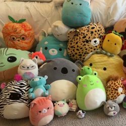 Squishmallow Collection