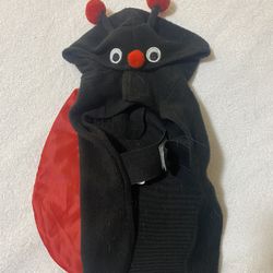 small doggie costume