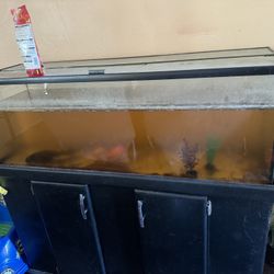 60 Gallon Fish Tank