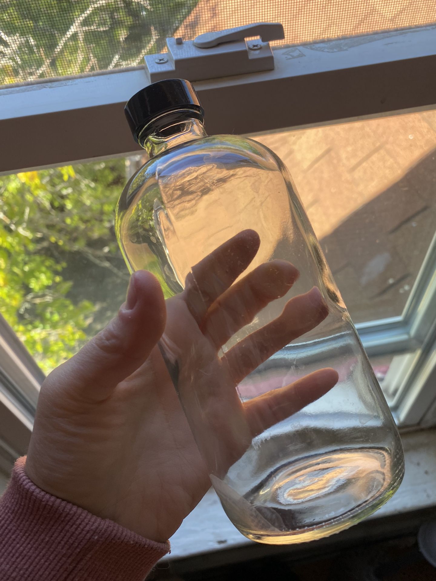 Glass Bottles 
