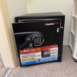 Floor mounted Sentry Safe
