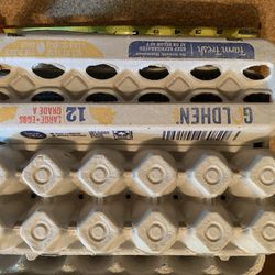 Egg Cartons