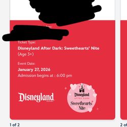 Disneyland Sweetheart Night