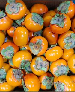 Persimmons