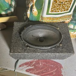 Bose 6x9 Speakers 