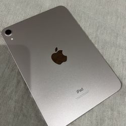 iPad 