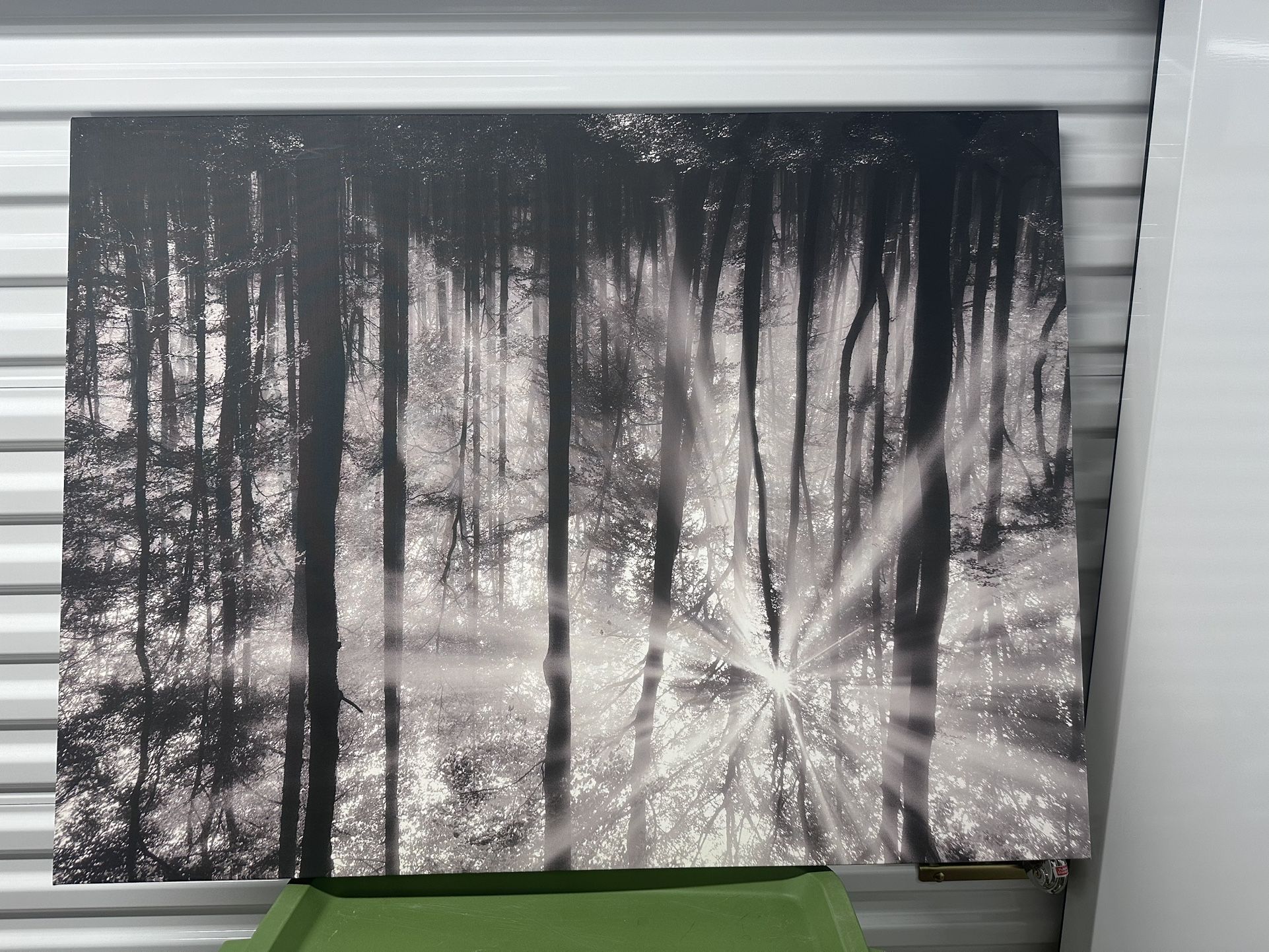 Canvas pictures