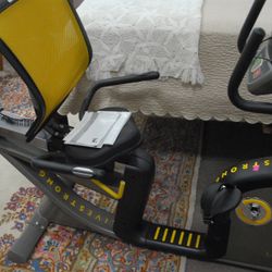 Livestrong Recumbent Bike Exercise