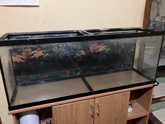 55 Gallon Fish Tank With Stand Thumbnail