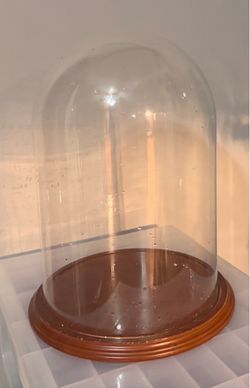 Glass Display Dome with Wood Base/cúpula de cristal con base de madera