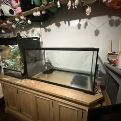 40 Gallon Reptile tank