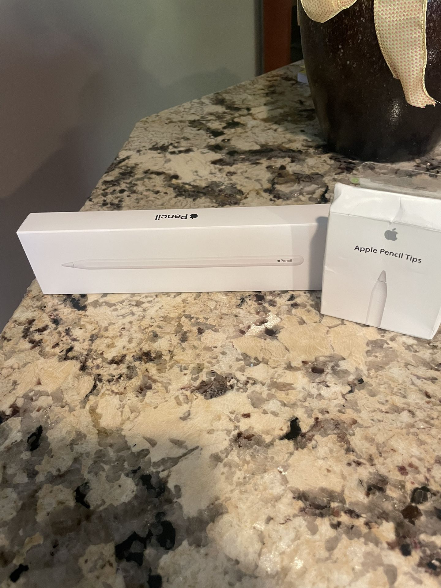 Apple Pencil 2nd Generation with Apple Pencil tips