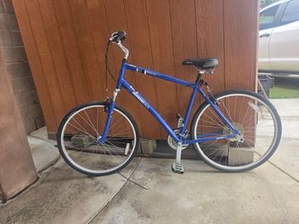 Bike for TALL people!
