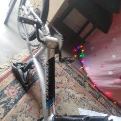 Cannondale Kids Bike