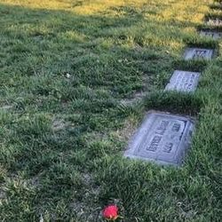 Cemetery Burial Lots - Sunset Memorial Park - $9,500

(Retail $11,000)