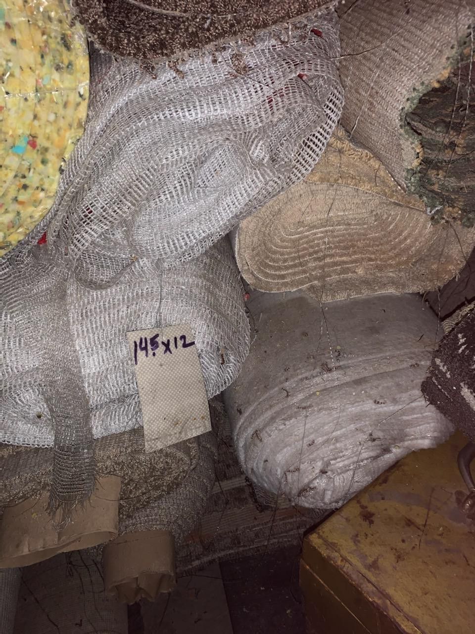 Carpet remnants many colors . $4dls x sy