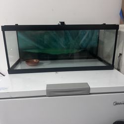Reptile Tank/Enclosure 20 Gallons