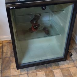 Mini fridge