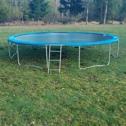 Trampoline 