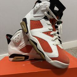NIKE Air Jordan 6 Gatorade