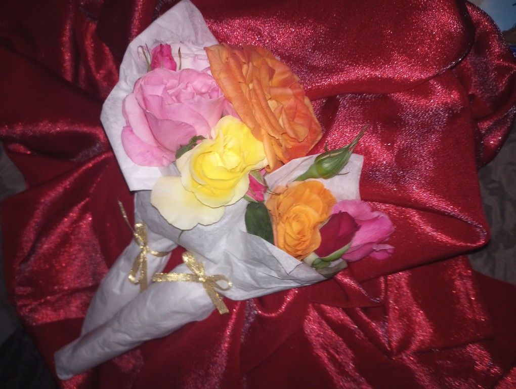 Fresh Roses