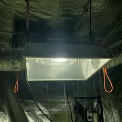 Grow Light Equipment