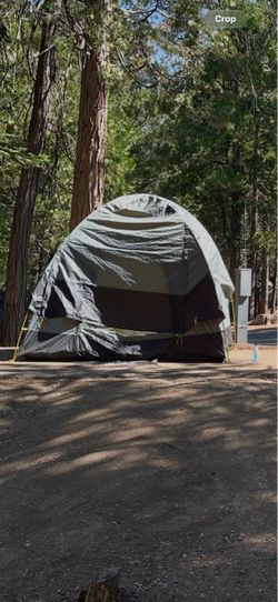 North Face Wawona 4 tent