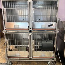 Dog Kennel 