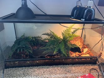 40 gallon breeder tank