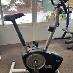 Everlast E60 Exercise Bike