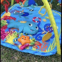Baby Play Gym