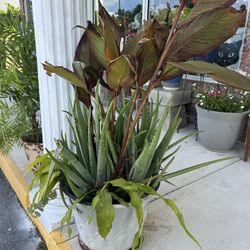 4 foot planter with a variety of plants