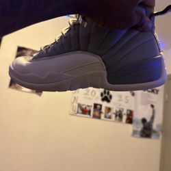 Air Jordan 12 Retro Stealth 