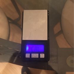 Mini Scale