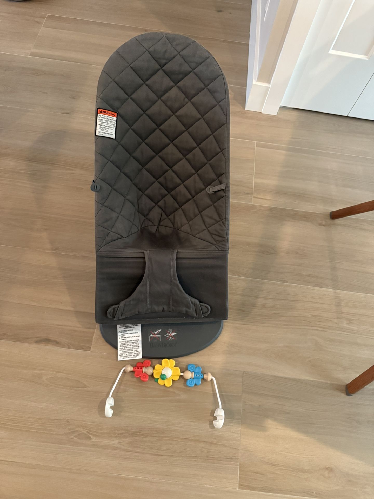 Baby Bjorn