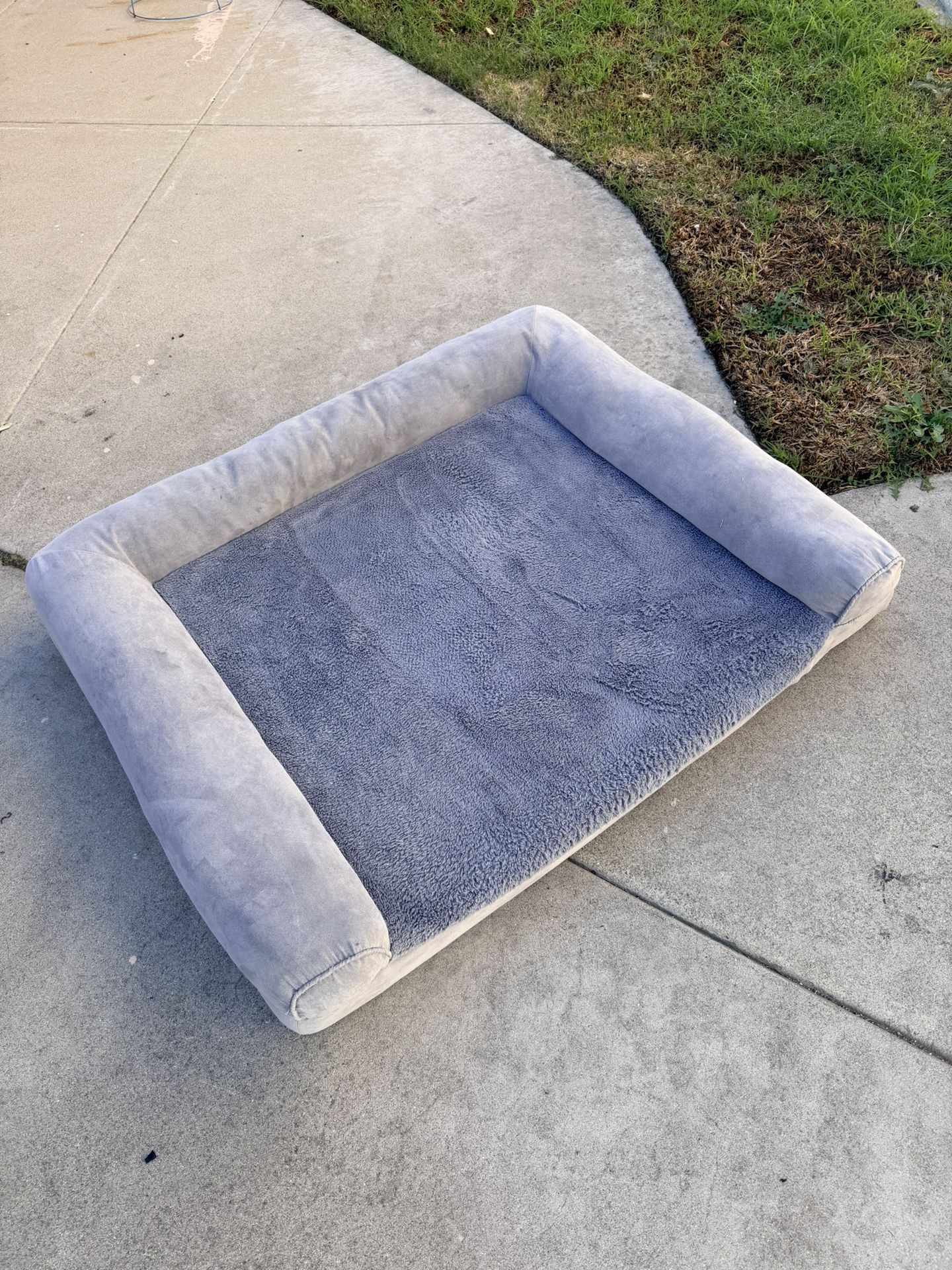 Large Dog Bed And Travels