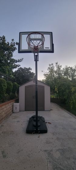 Lifetime Portable Basketball Hoop