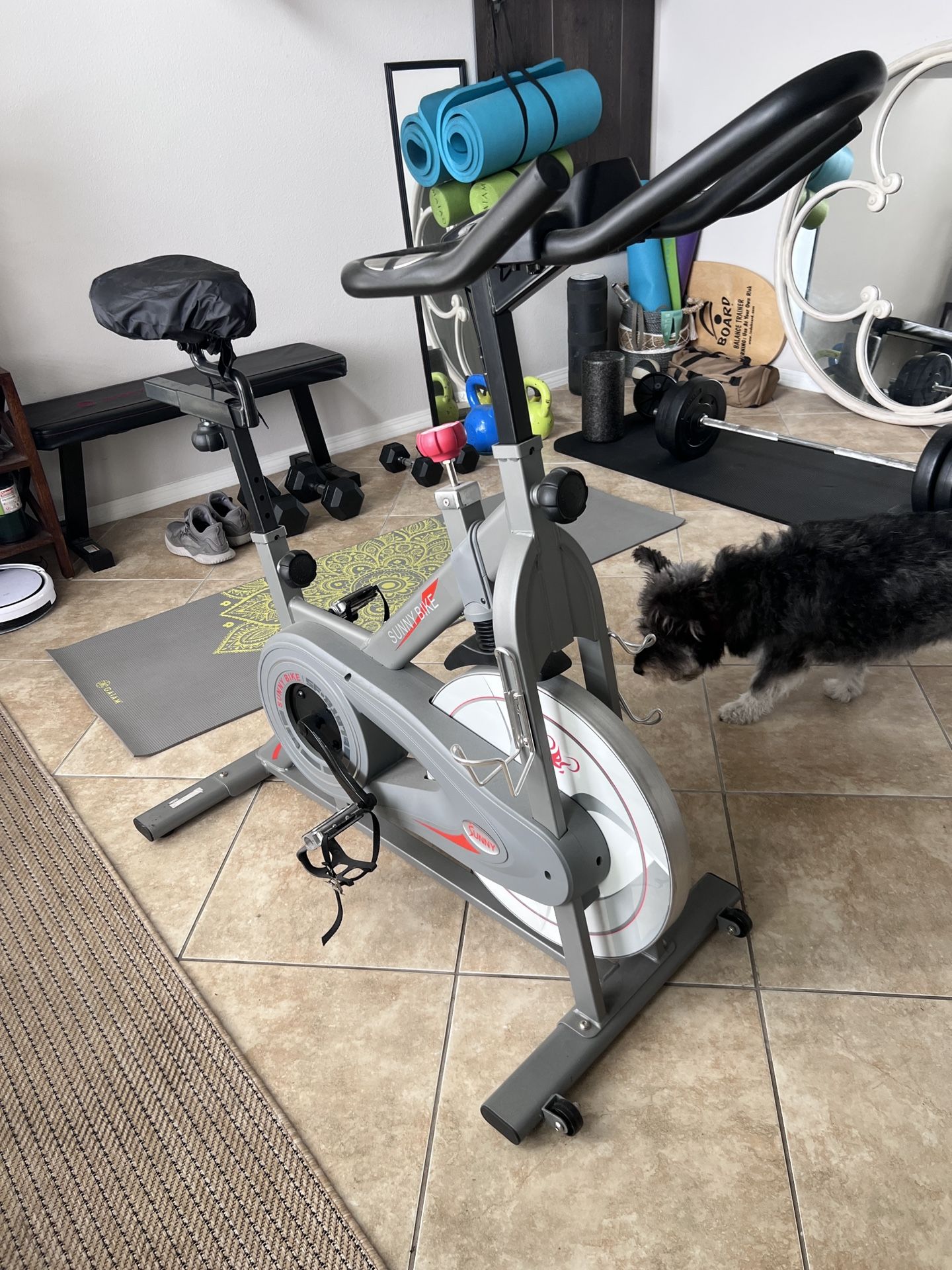 Exercise Bike