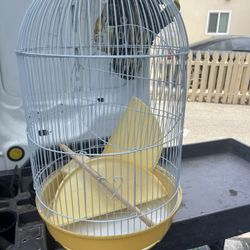 White Bird Cage