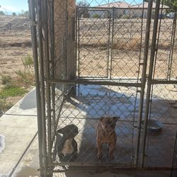 Dog Kennel