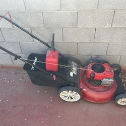 Lawn mower (gas), Trimmer (electric), Leaf Blower (electric)