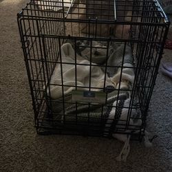 Dog Crate 