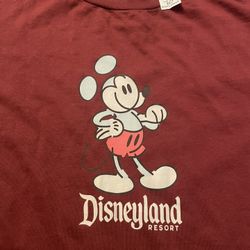 Disneyland Resort $25