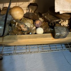 Bunch Of Fossil Rocks 