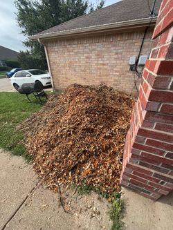 FREE WOOD CHIPS  NEEDS TO GO ASAP!