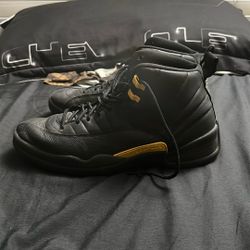 Air Jordan 12s Size 12.5